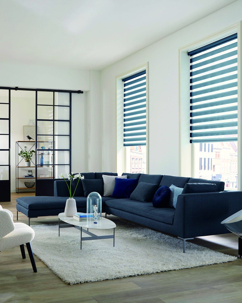 Motorized Zebra Shade